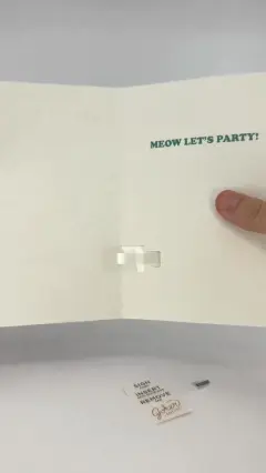 תקריב על החתול הג'ינג'י במשקפי שמש בחזית הכרטיס
